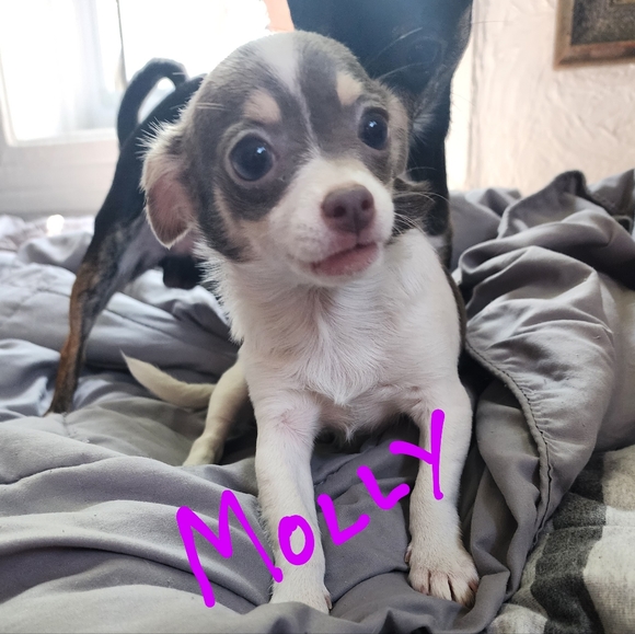 Meet your Posher, Felice - Picture 6 of 7